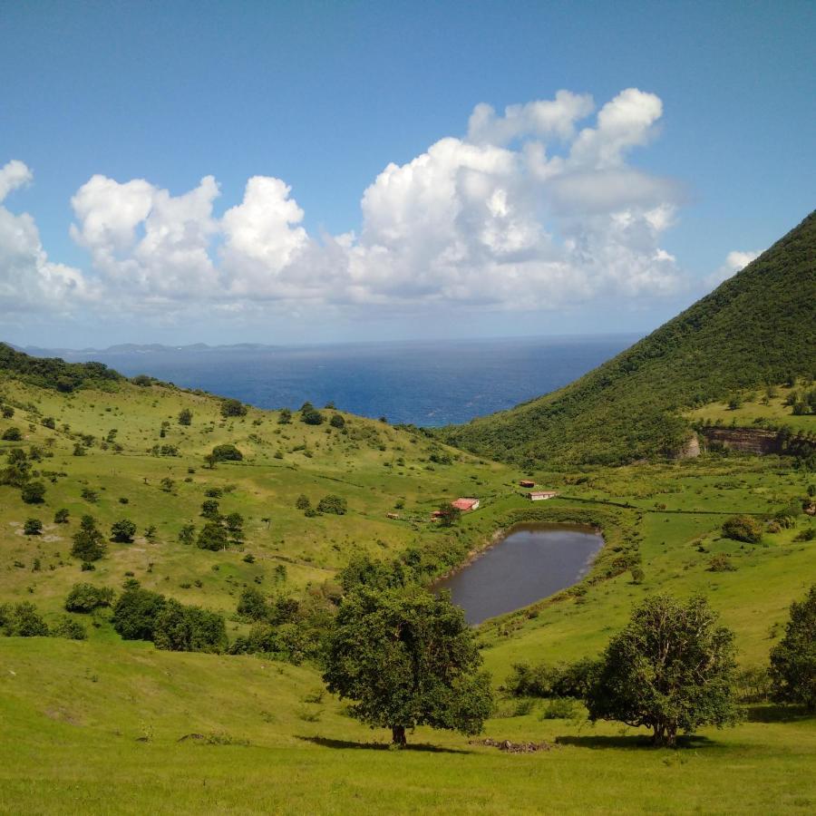 Douceur Antilla Apartment Morne Blanc Esterno foto